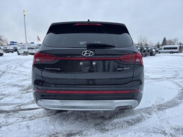 2022 Hyundai Santa Fe Calligraphy