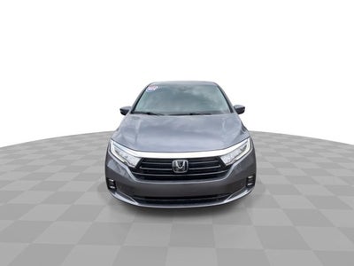 2024 Honda Odyssey Elite