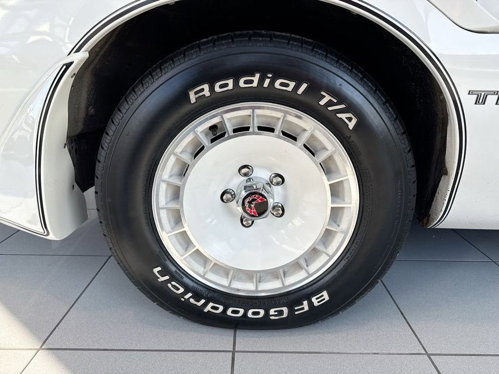 1981 Pontiac Firebird SE